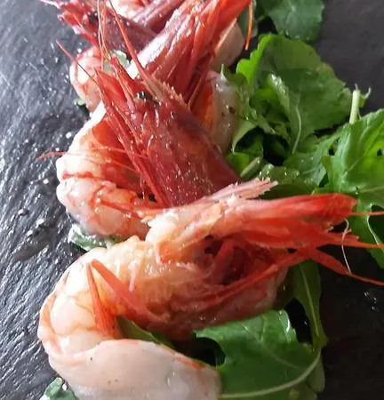 Nika 3* Vlorë